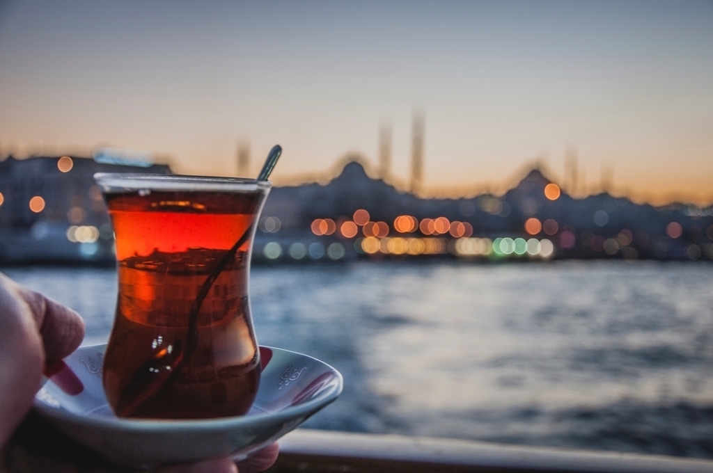 morgans must october in istanbul back of house